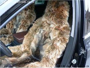 国产A级毛,匠心独运,引领时尚潮流