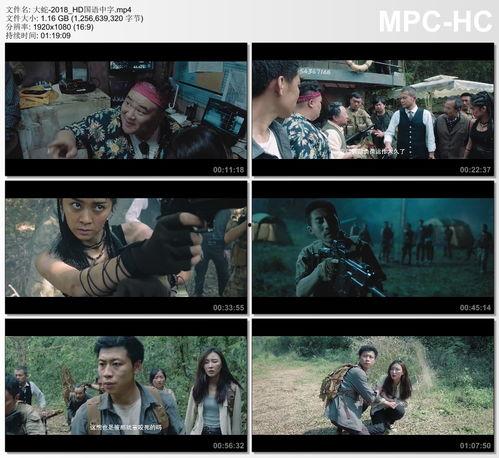 国产高清毛片在线看,一场视觉盛宴的诱惑之旅